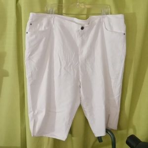 24W plus white shorts long. Stretchy and comfy